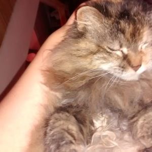 Meet your Posher, Kat